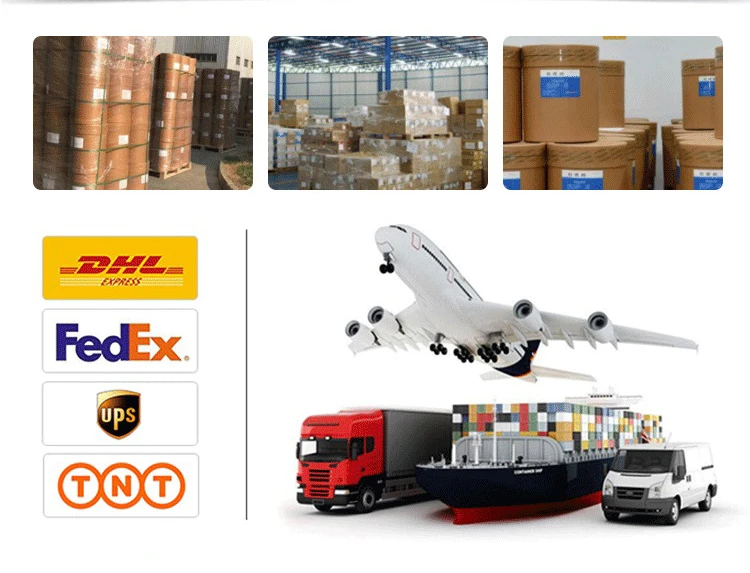 Hot Selling Muscul Mass Gainer Whey Sport Nutrition Gym Concentrate Unflavored Fitness Protein Powder