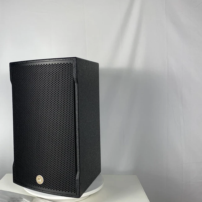 high quality cafe sound system 10 inch disco sound system karaoke speaker