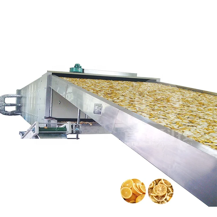 High Quality Avocado Food Dryer Machine Dried Fruit Production Line