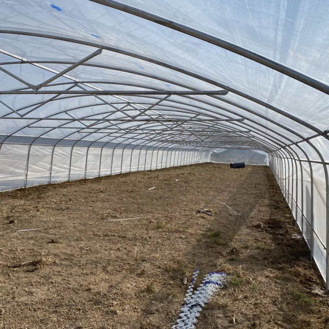 Tunnel 10 * 50 * 4.5m greenhouse kit with hanging rod simple agricultural plastic film low-cost greenhouse