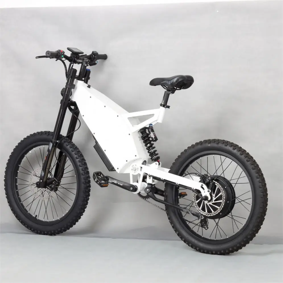 Electric Bike Children Utility Shuangye 20 Inch Front Wheel Hub Motor
