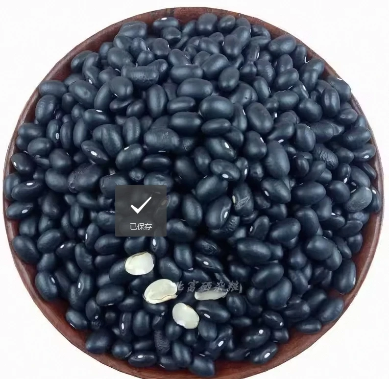 China Polished Black Soybean Good Price Black Kidney Beans