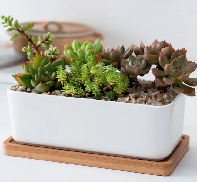 ceramic rectangle flower pots with bamboo saucer planter set wholesale