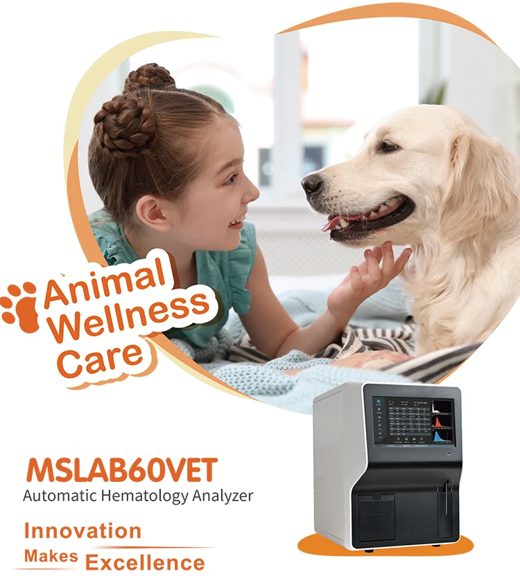 MSLAB60 (1).jpg