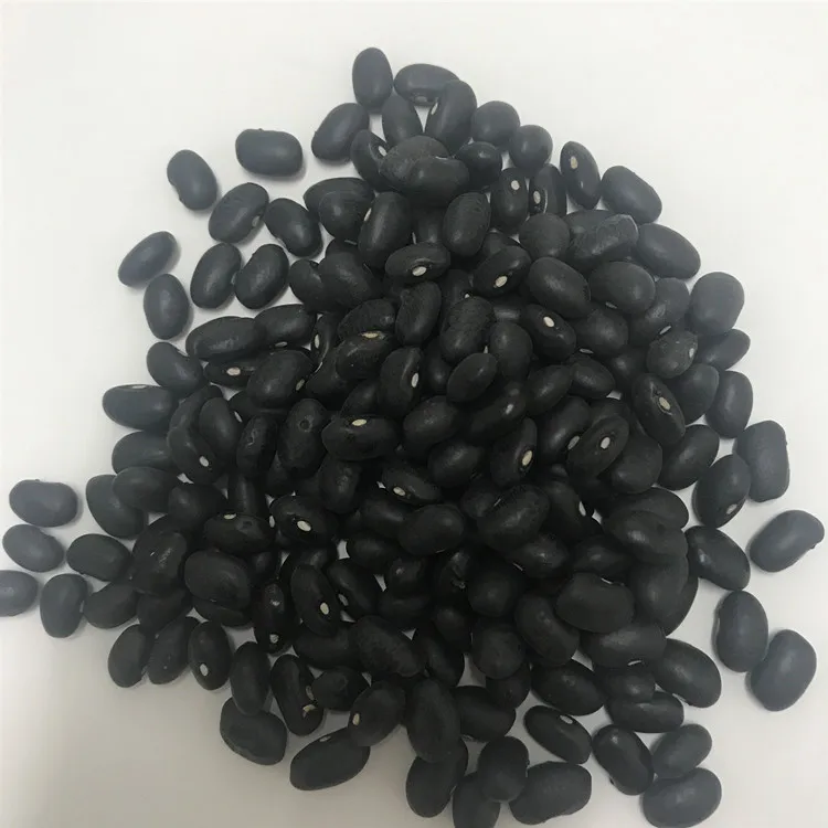 
Chinese organic black kidney bean black bean price 