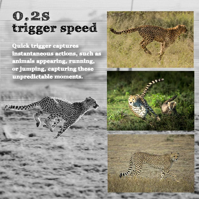 Wildlife Hunting Game Wild Camera Wildcamera Photo Trap Wildkamera 4G Trail Camera