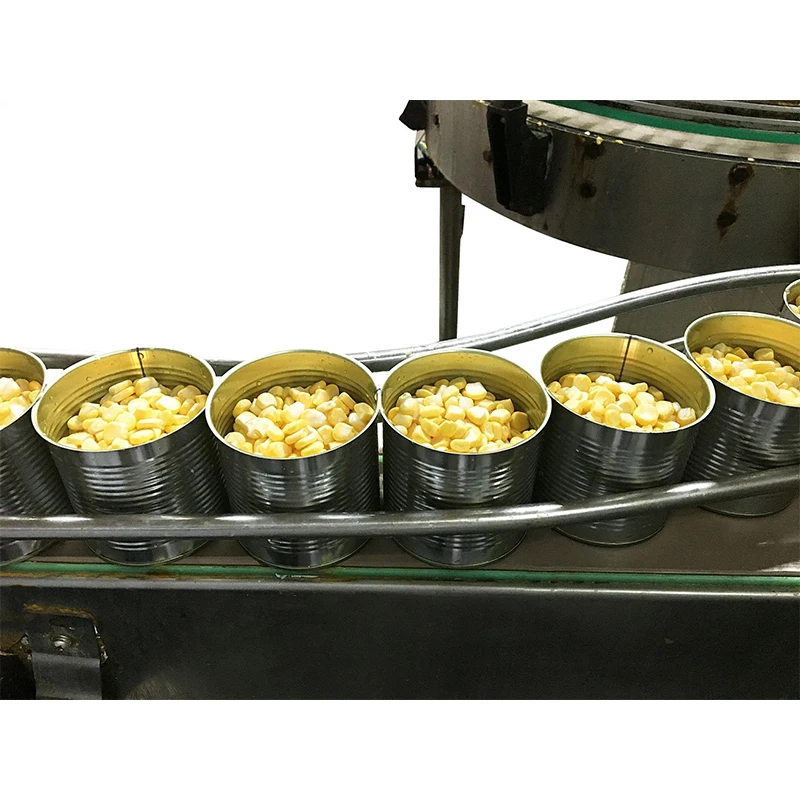 Fresh Natural Vegetable Canned Food Sweet Corn In Water Low Price 435g 340g