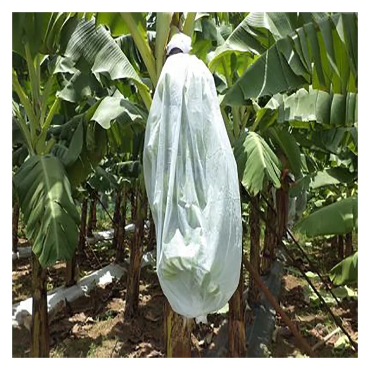 Wholesale Agriculture Garden pp spunbond nonwoven fabric for banana bag reusable eco friendly bags