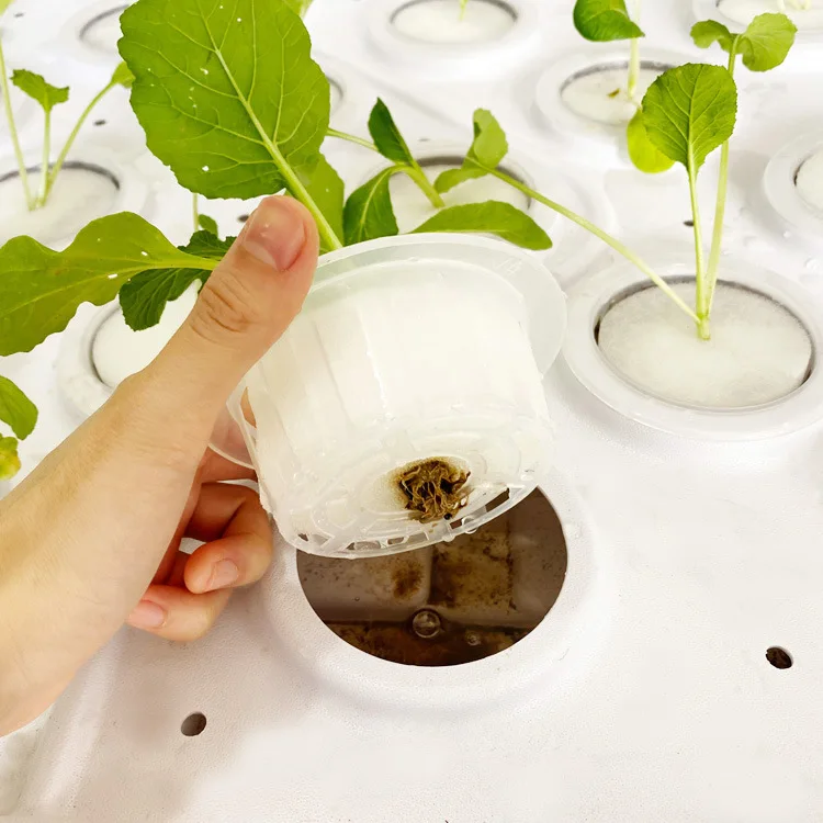 OEM/ODM Acceptable 4*8 3*8 4*6FT Water Tray Ebb and Flood Hydroponic Trays Flood and Drain Table