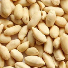 China Wholesale Hot Origin Dried Peeled Skinless Peanut Blanched Groundnut Kernel
