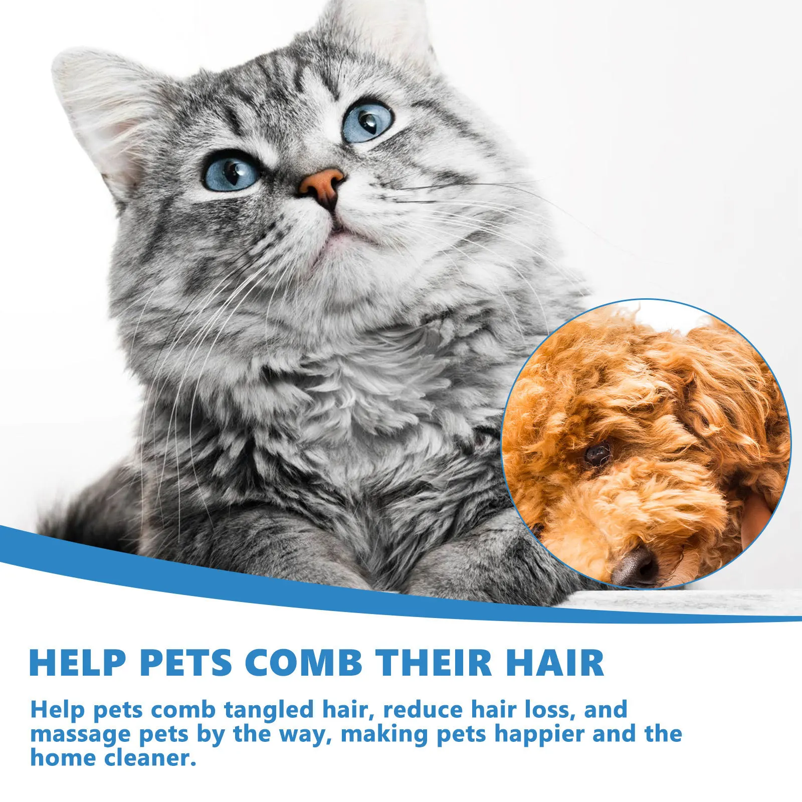 Eco-Friendly 20ml Leave-In Serum Scrub Bath Small Animal Body Wash & Cat Deodorizer Stocked Dry Cleaning for Pets