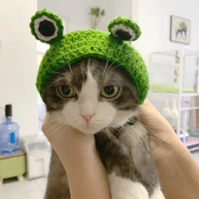 Popular New Style Cute Fashion Winter Handmade Knitted Headdress Woolen Cat Hat design pet caps