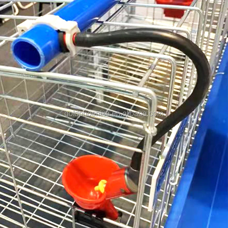 yyc poultry farming drinker chicken waterer automatic chicken drinker water cup for gamefowl running pens