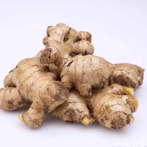 China wholesale GAP new Fresh Ginger