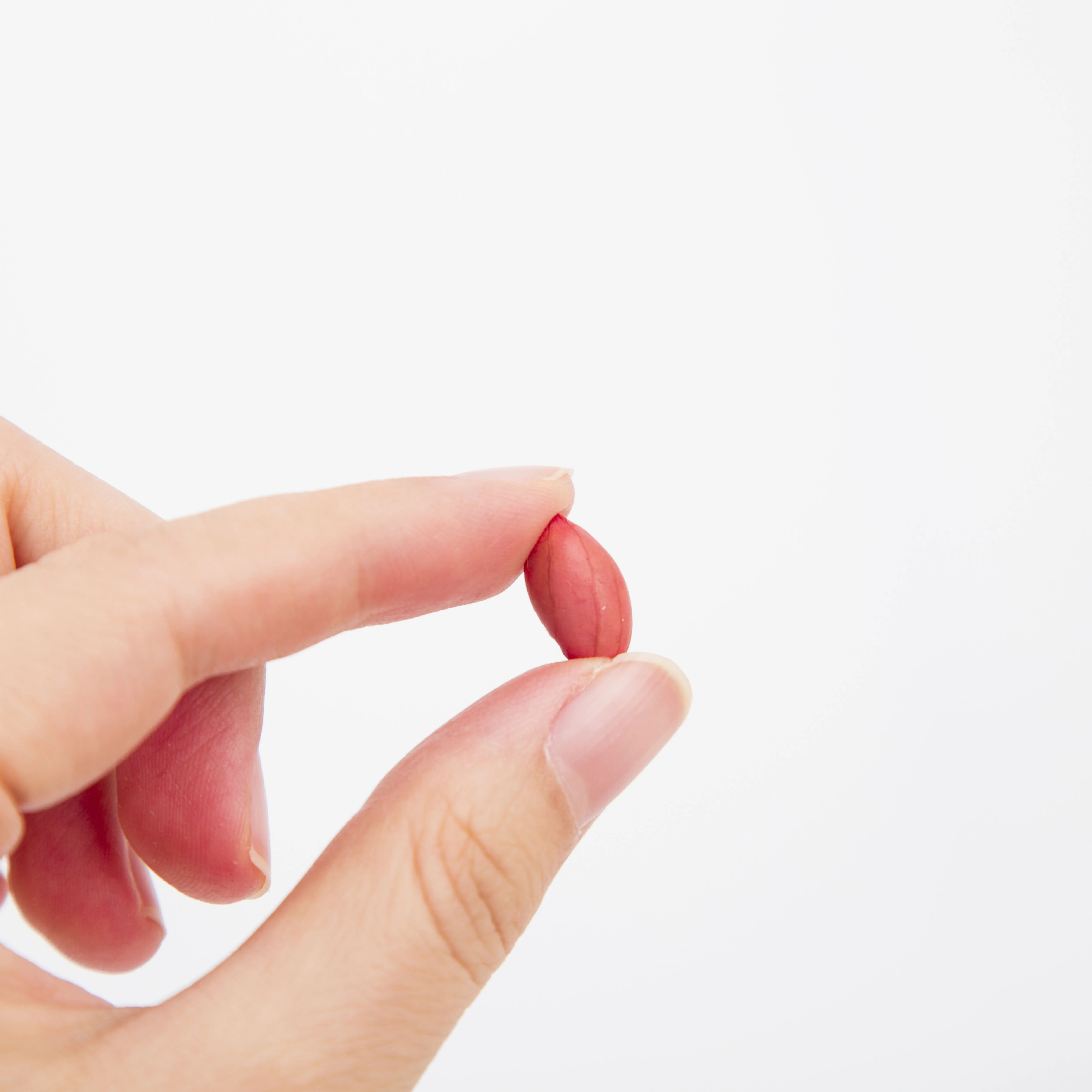 china peanut in shell kernels best quality no aflatoxin best sale