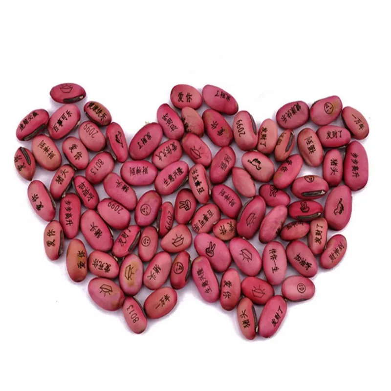 DIY Magic Bean With Wishes For Home Decoration Or Green Office