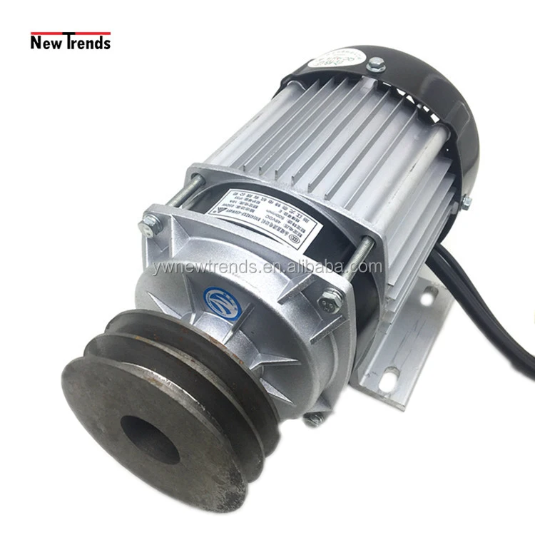 BM1418ZXF 350W 48V  Double Pulley Belt Drive DC Brushless Motor For Electric Tricycle Equipment Modification