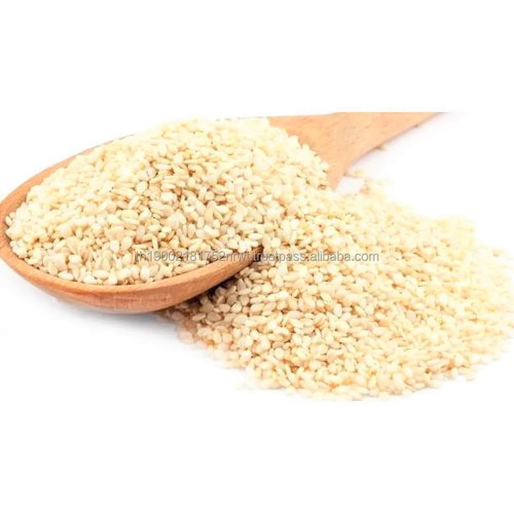 
White Sesame Seeds Sudan Origin Oil Seeds Agricultural Products Plant Seeds Grain Exporter 