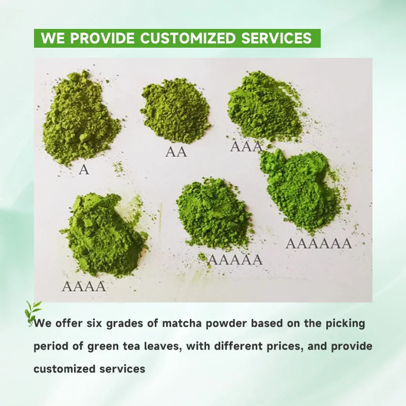 Оптовая продажа органический порошок зеленого чая Matcha с OEM-упаковкой церемониальная церемония под частной торговой маркой