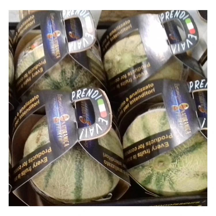 Wholesale Italian Fresh Fruit Orange Pulp Fresh Musk Melon Fruit