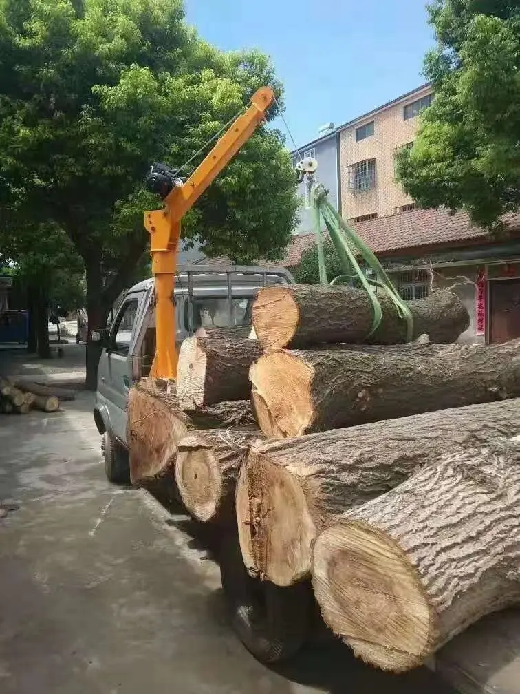 High Quality 500kg Car Mounted Crane Mini Crane With 12v 24v Electric Winch