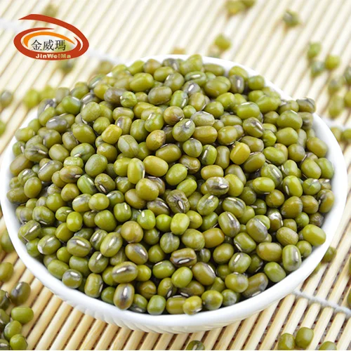 Wholesale Small Green Gram vigna myanmar Beans Mung Beans export mung bean