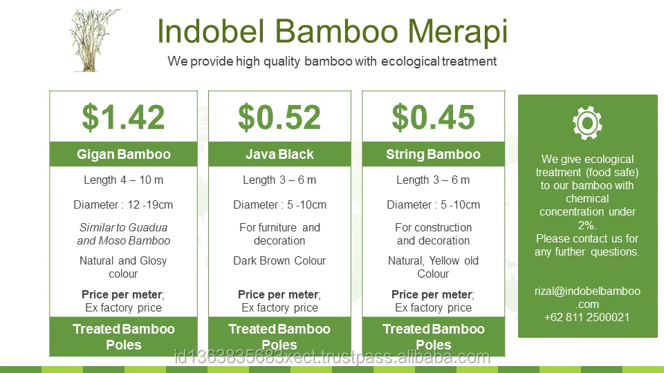 
Yellow Bamboo Pole String Bamboo Poles Tali Bamboo Pole Treated (Gigantochloa apus) 400cm 