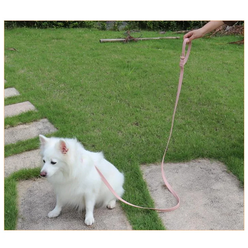 Durable and High Quality Training Rope Dog with Anti slip Fur Adjustment Pet Customized Dog Rope Dog Collar and Belt Set