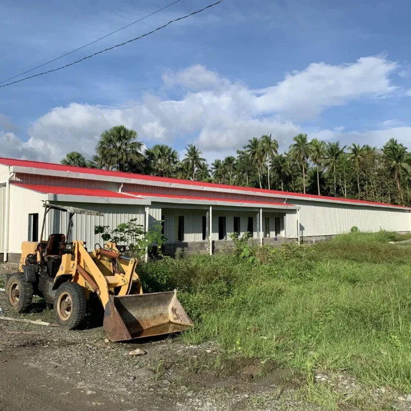 Сборный легкий стальной каркас для строительства модульного дизайна дома птицефабрики
