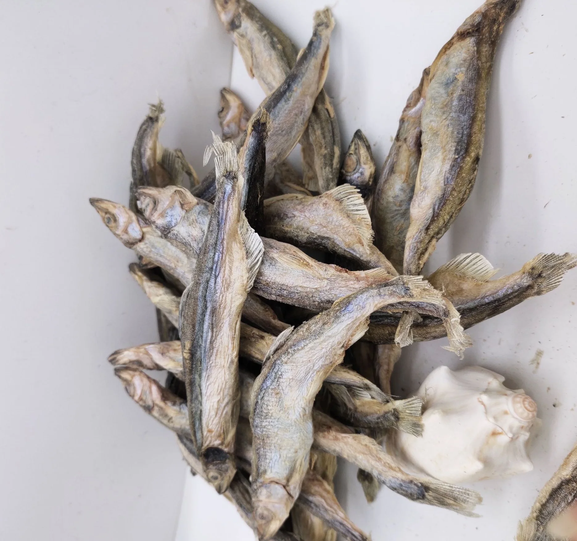 Pet Food  Freeze Dried Capelin fish