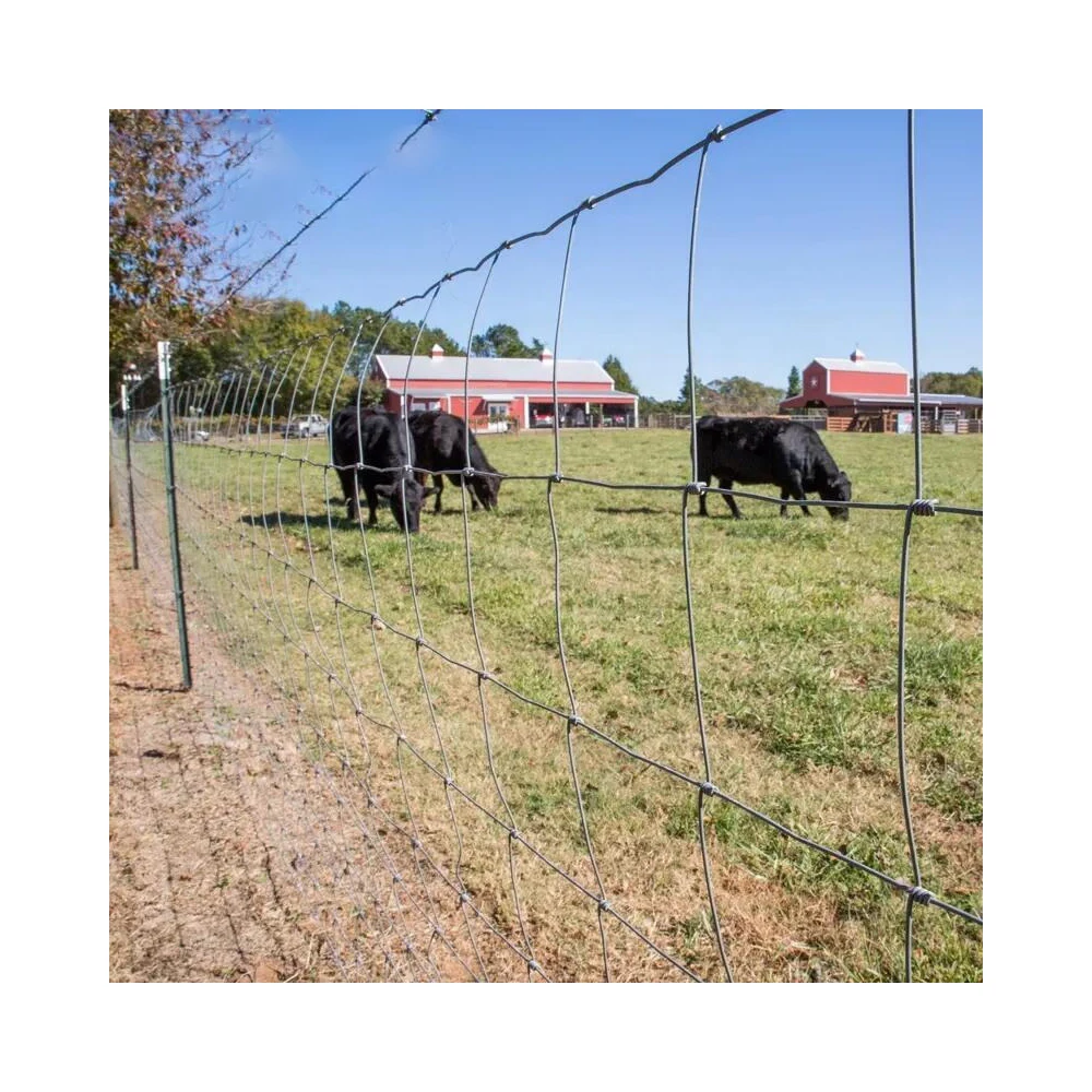 BOCN manufacturer Wholesale Galvanized Grassland Wire Mesh Fence Cattle/Sheep/Field/Deer/horse Farm Fence Roll