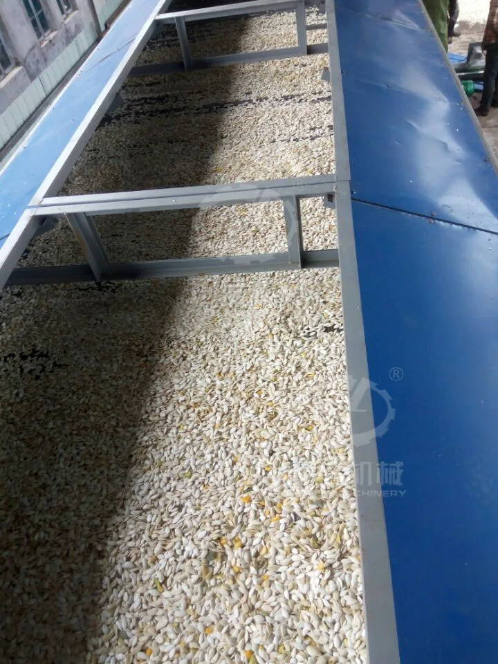 
Myrcia dryer used for bay leaves drying bay leaf seeds drying 