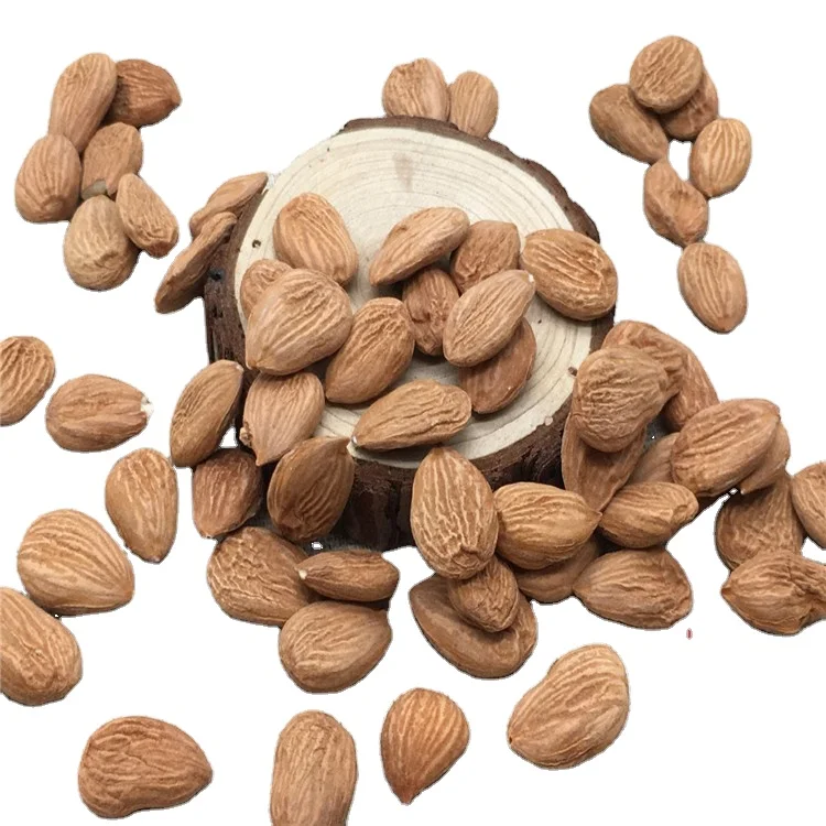 
Manufacturer wholesale bitter almond nuts for sale bitter apricot seed 