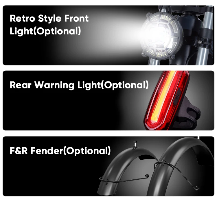 New style saddle electric bike  electric bicycle rear motor e bike 20 inch fat tire electric bicycle