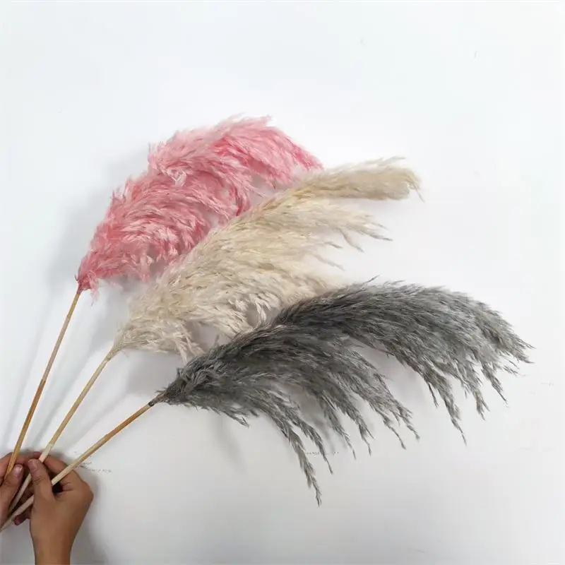 Cheapest decor flower natural pampas grass & dried reed straw grass for home decoration