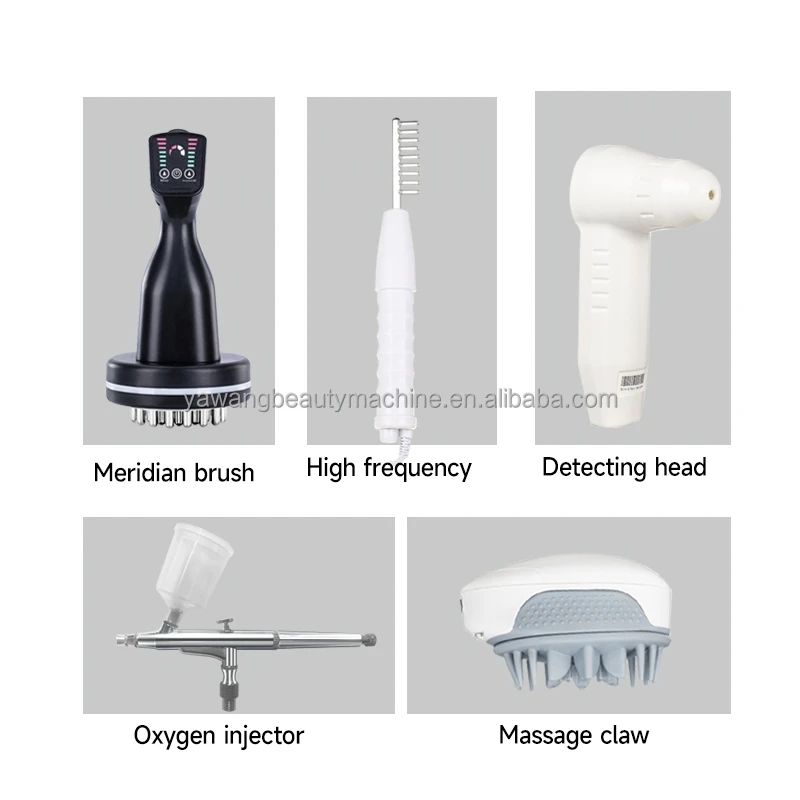 2024 New 5 in 1 Scalp care device Hair Care massager Beauty salon Hair salon Hair tools Head detector