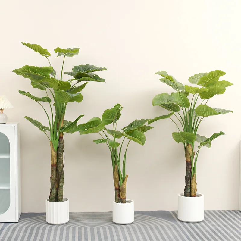 plants51