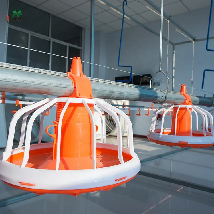 Poultry Automatic Feeding System for Broiler Farm