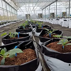 Home Garden Plastic Bag Pot economical small to big custom PE plastic plant growing bag for fruit tree vegetable