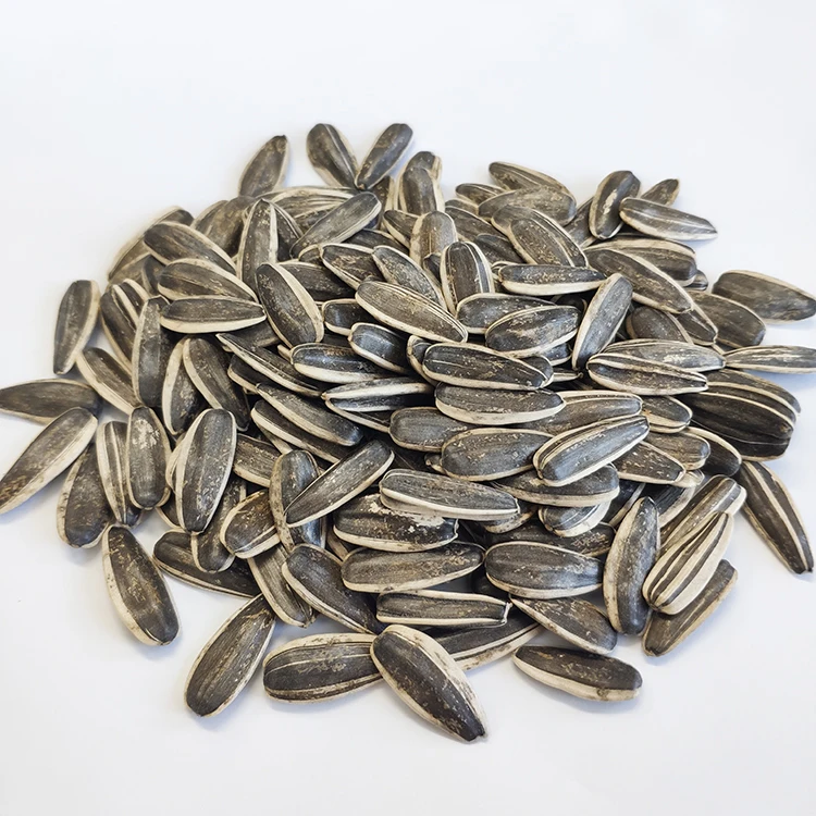 Crop sunflower seed 5009 market price for sale with export sunflower seeds