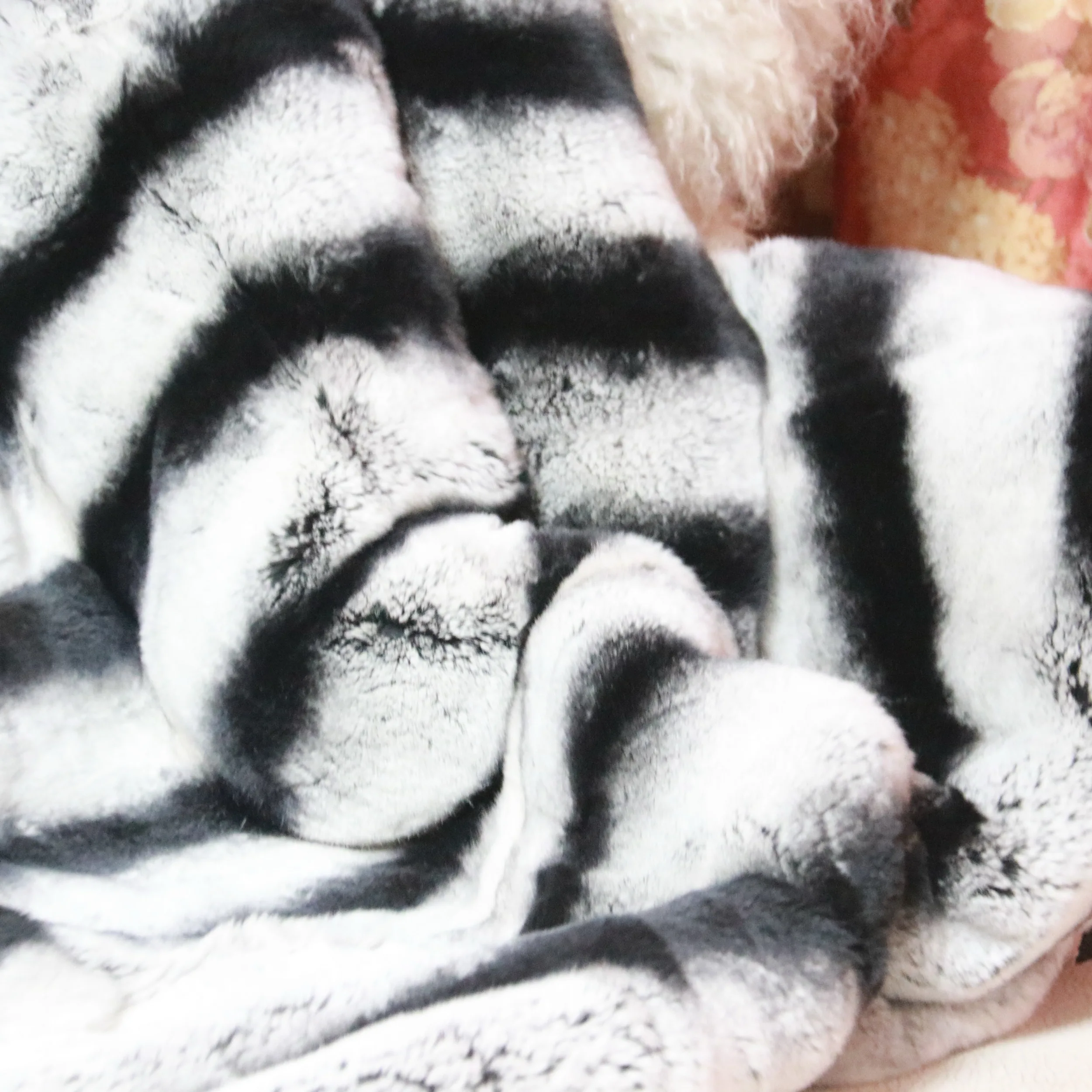 Хорошая цена мех шиншиллы из меха кролика рекс/меховые коврики настоящего Шиншилла Рекс/меховые пластины Рекс одеяло ковер постельное белье