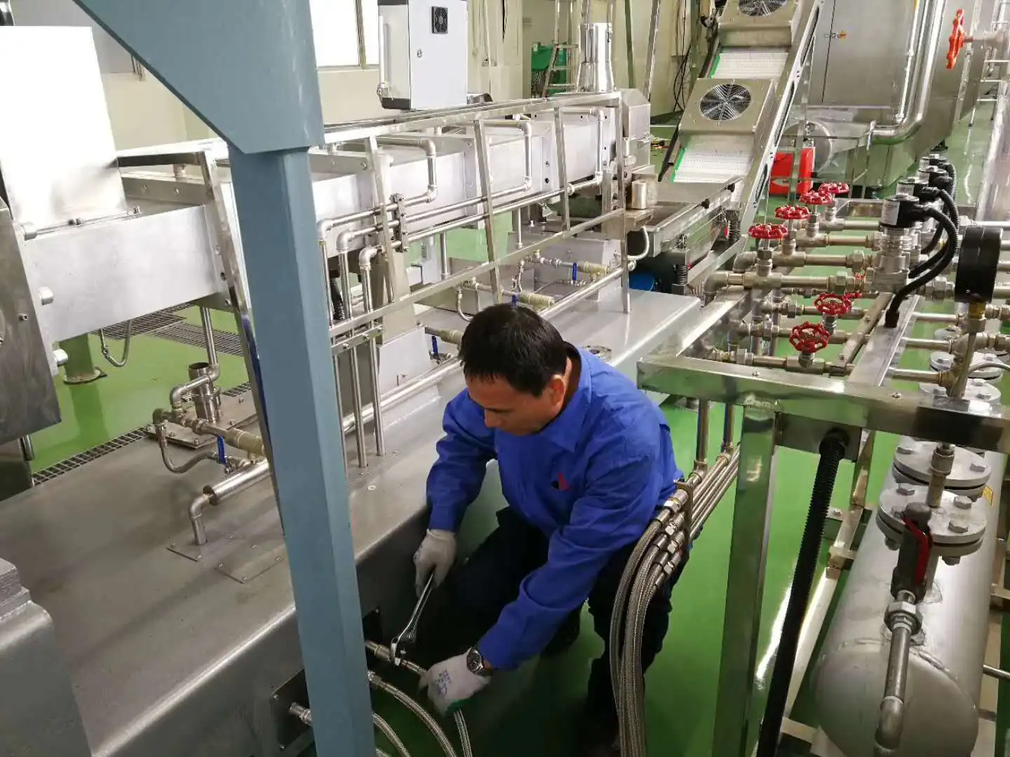 Complete processing line pet food production line fish dog cat feed making machine