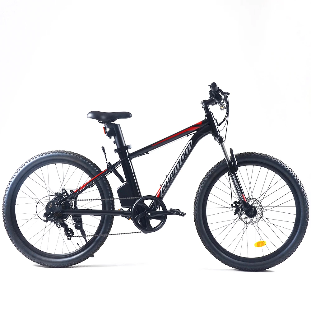 Hidden battery 750W motor 14ah 26 inch Electric Mountain Bike for sale