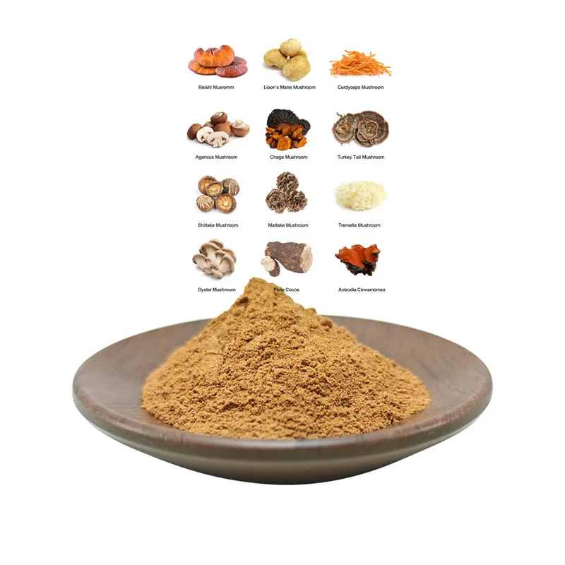 Maitake,Chaga, Cordyceps,Ganoderma Reishi,Lions Mane Mushroom Organic Mushroom Extract Powder