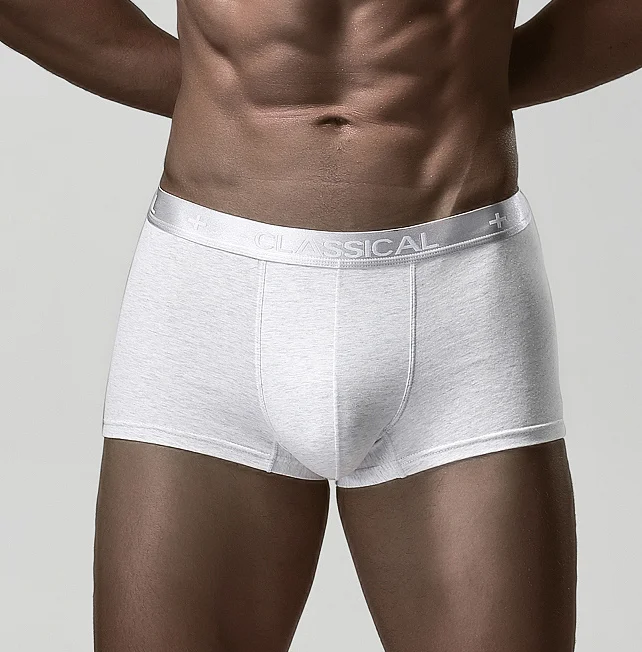 OEM ODM Custom Logo Brand New Design Bamboo Underwear Custom Low Waist Boxer Briefs