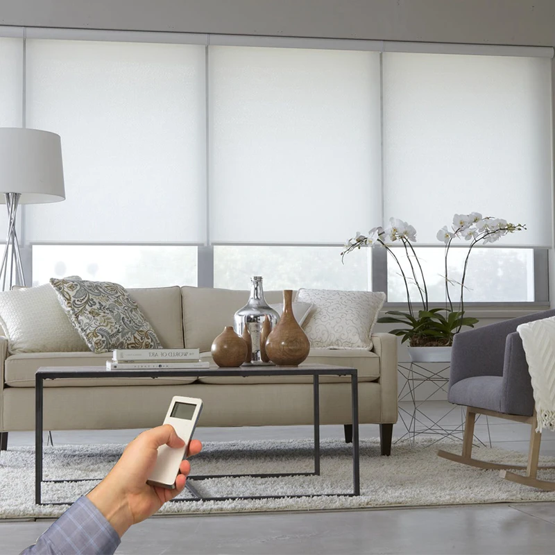 Smart Tuya Wifi Google Alexa Remote Control Electric With DC Battery Rechargeable Motor for Indoor Window Auto Roller Blinds