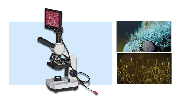 10 inch LCD screen display cell biological microscope blood test Instrument red blood optical observation can connect to PC TV