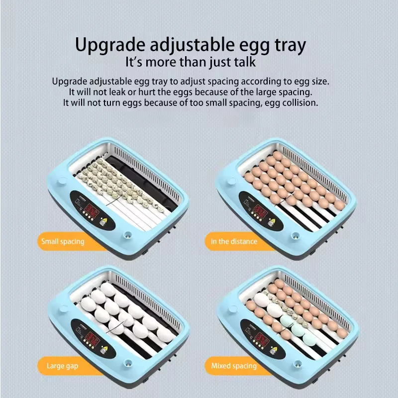 ST-36C Automatic Incubator And Hatcher Egg Incubator Hatchery Best Price Quail Egg Incubator 36 Eggs