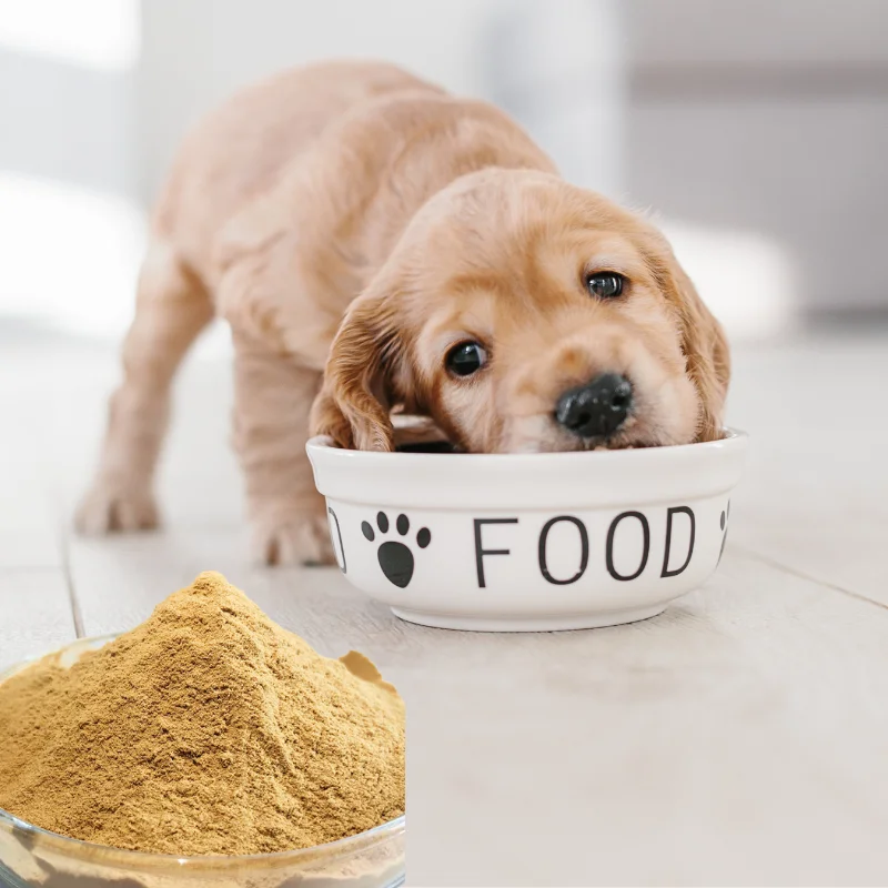 Dry Cat Food Palatant Chicken Hydrolysate Pet Digest Pure chicken liver powder