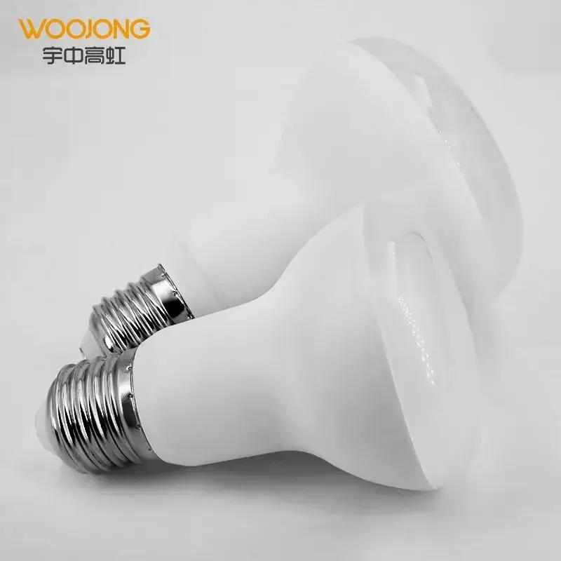 WOOJONG High Quality LED R Lamp R39/R50/R63/R80 E14/E27 AC Power LED R Bulb with Plastic Lamp Body for Home and Office